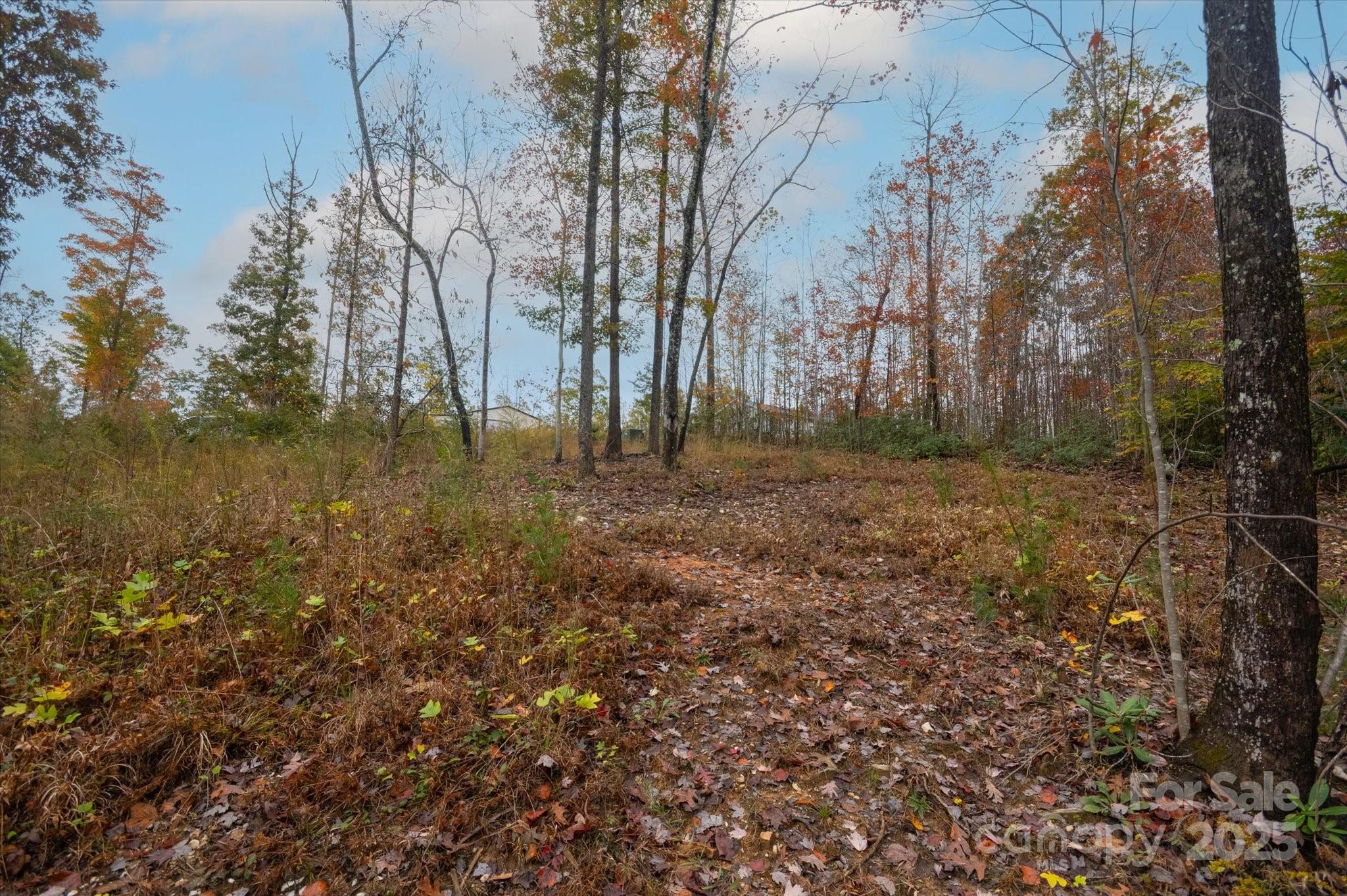 269 Mooseheart Road Nebo NC 28761