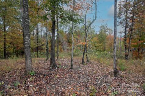 269 Mooseheart Road Nebo NC 28761