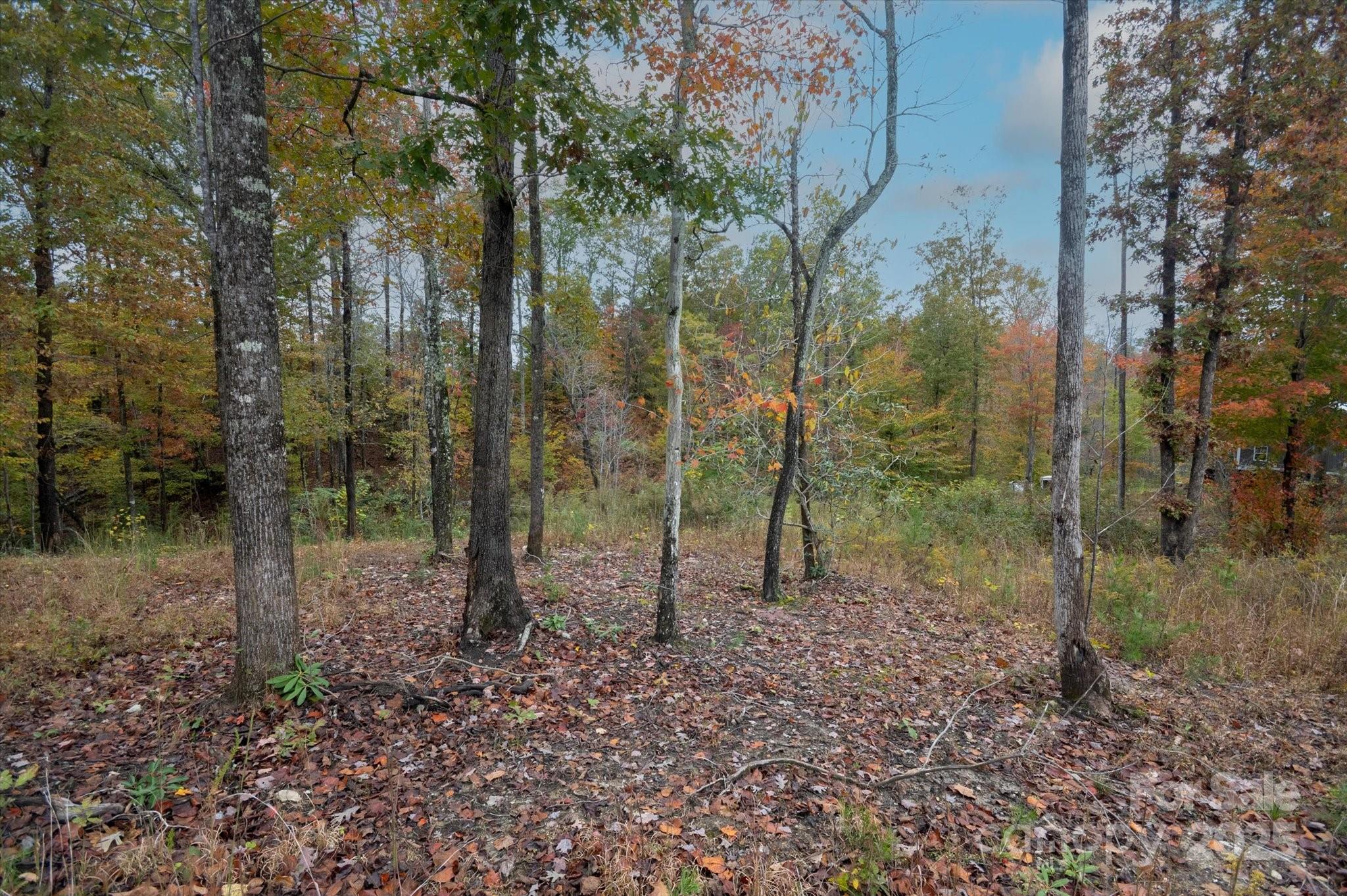 269 Mooseheart Road Nebo NC 28761