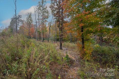 269 Mooseheart Road Nebo NC 28761
