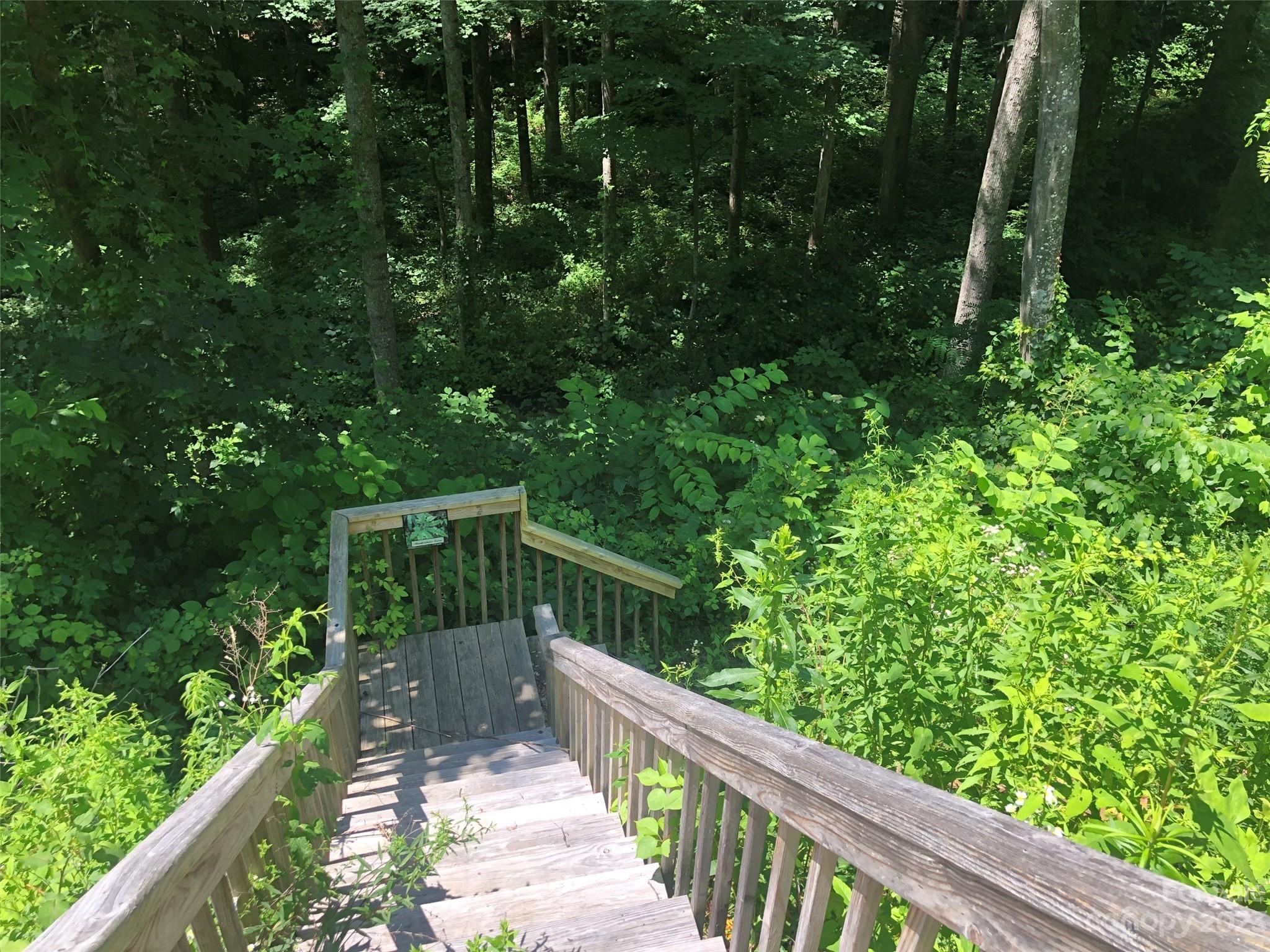 99999 Summit View Drive Candler NC 28715
