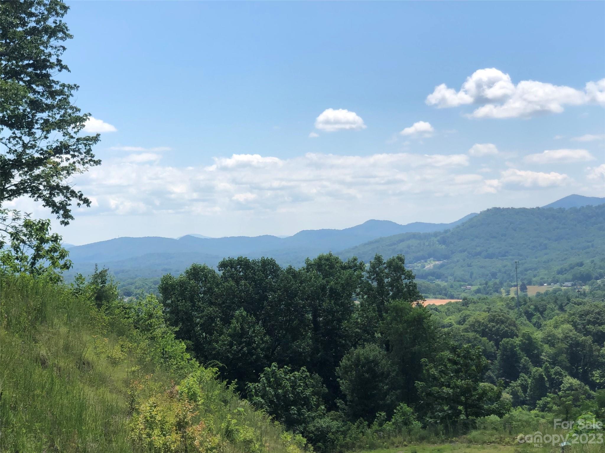 99999 Summit View Drive Candler NC 28715