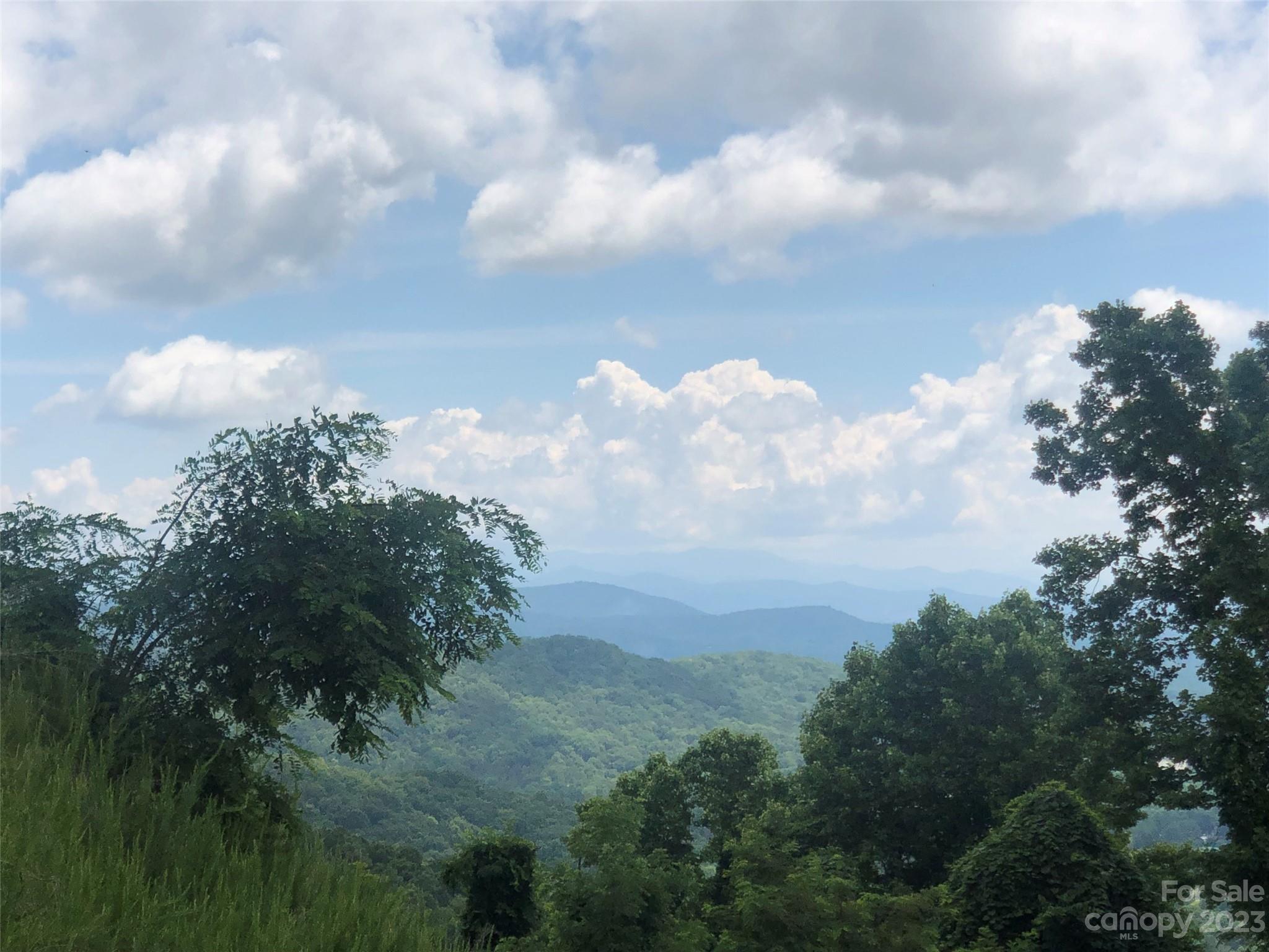 99999 Summit View Drive Candler NC 28715