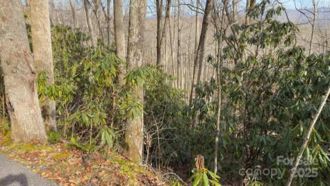 Tbd High Acres Road Spruce Pine NC 28777