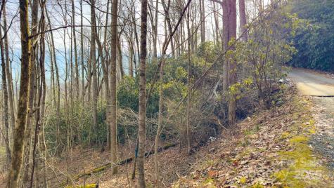 Tbd High Acres Road Spruce Pine NC 28777