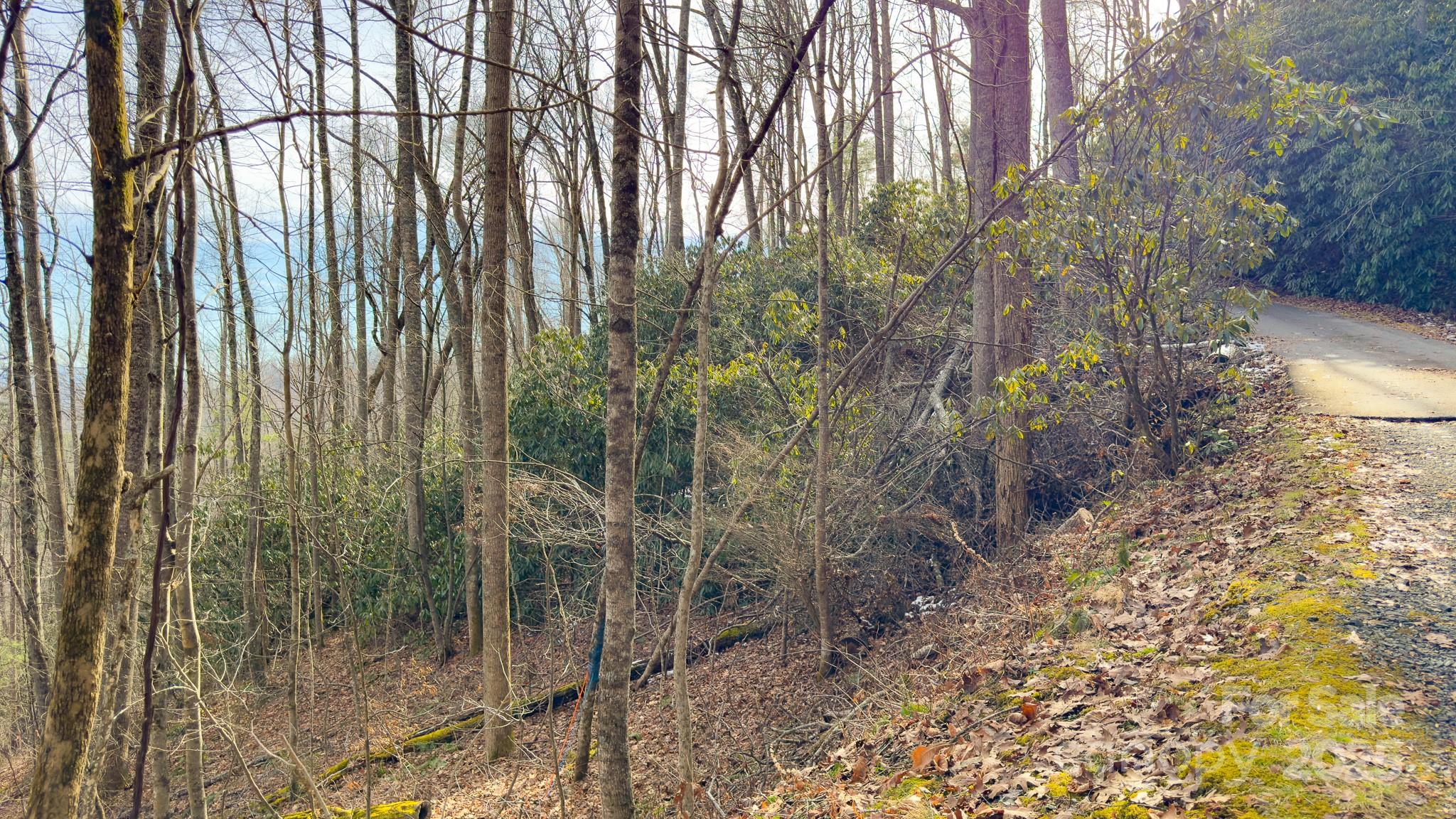 Tbd High Acres Road Spruce Pine NC 28777