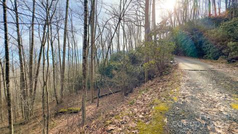 Tbd High Acres Road Spruce Pine NC 28777