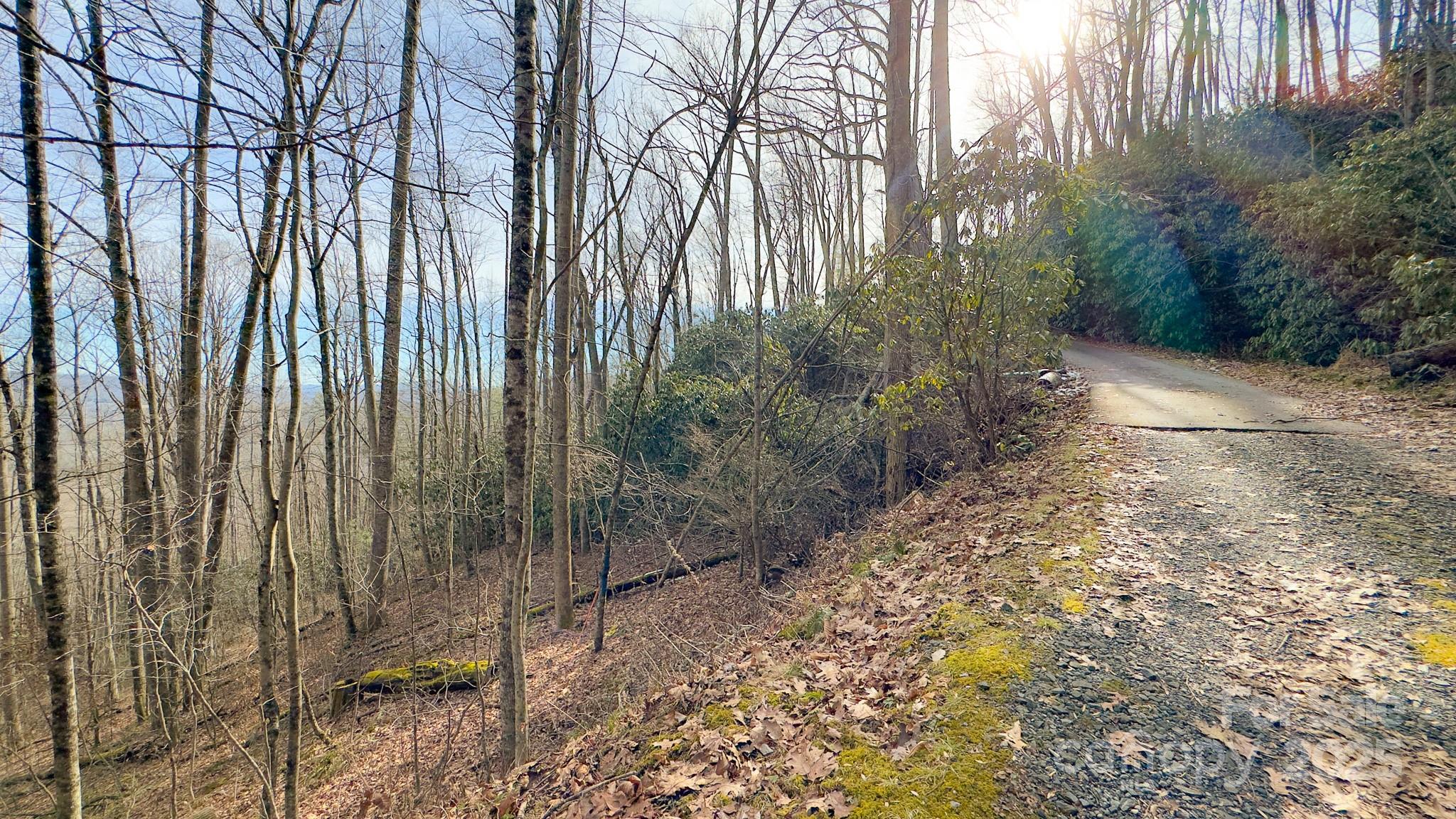 Tbd High Acres Road Spruce Pine NC 28777