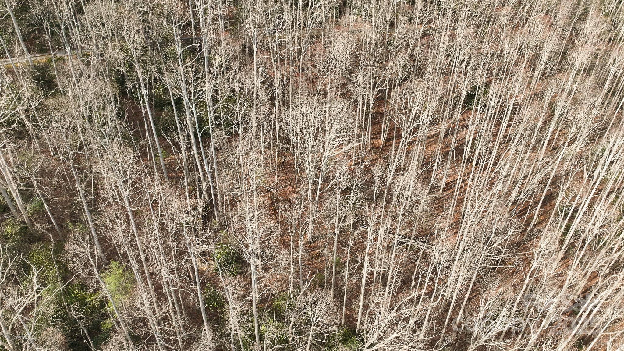 Tbd High Acres Road Spruce Pine NC 28777