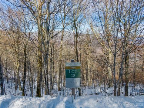 Lot 28 Black Bear Run Mars Hill NC 28754