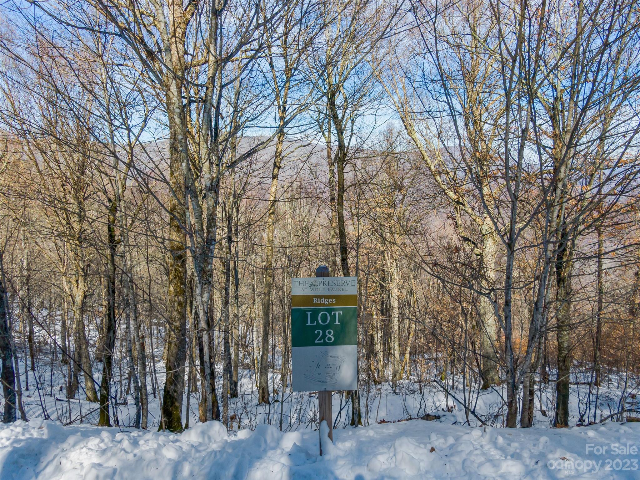 Lot 28 Black Bear Run Mars Hill NC 28754