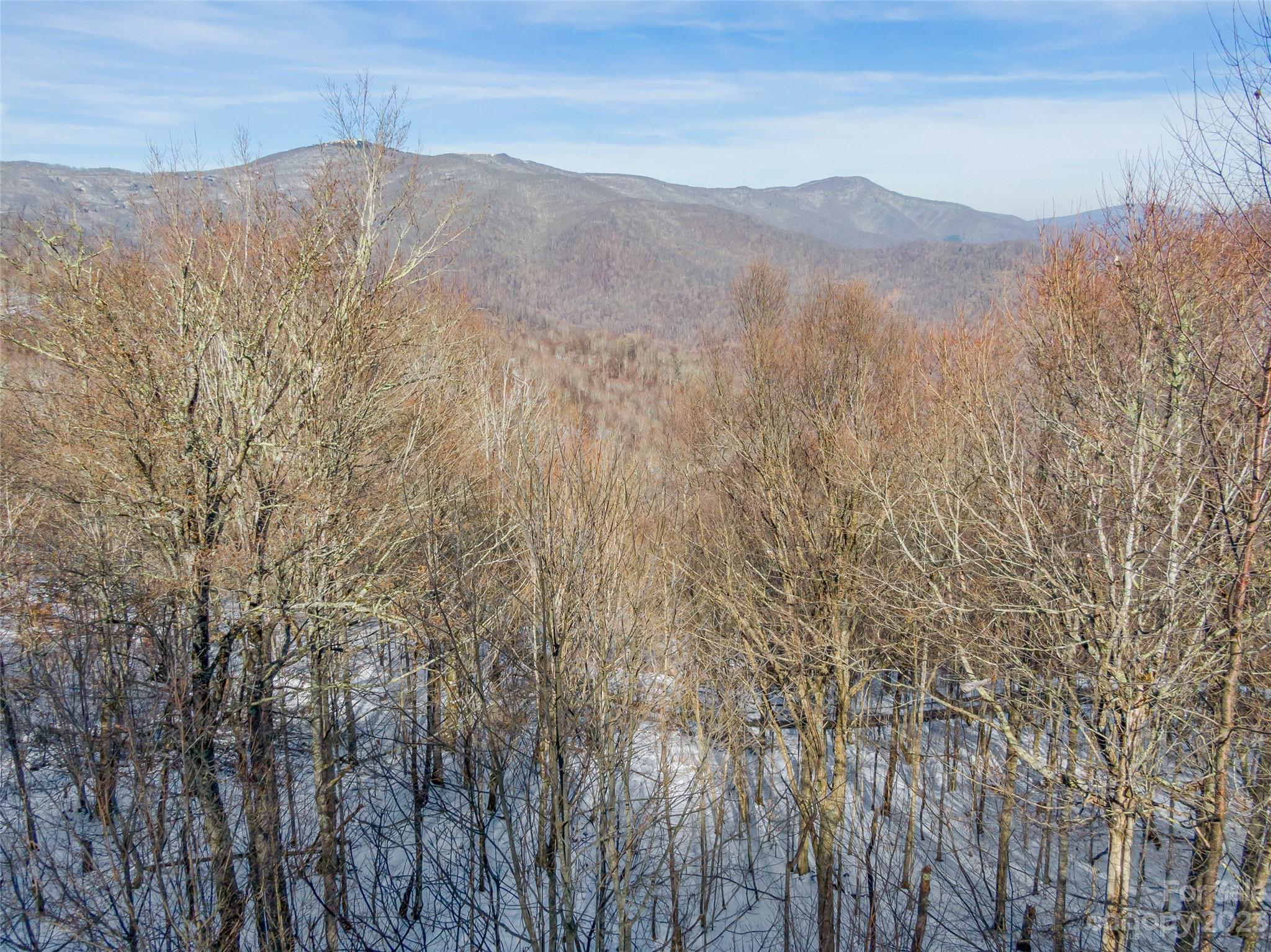 Lot 28 Black Bear Run Mars Hill NC 28754