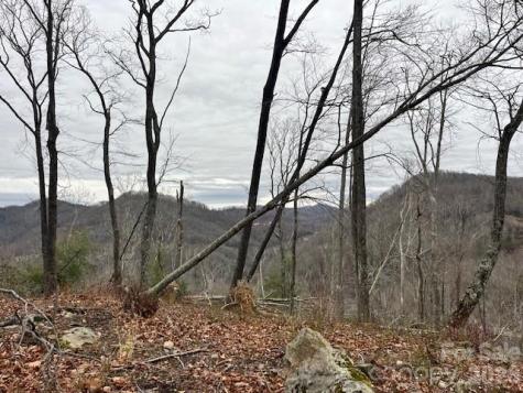 C-114 Spring Water Lane Banner Elk NC 28604
