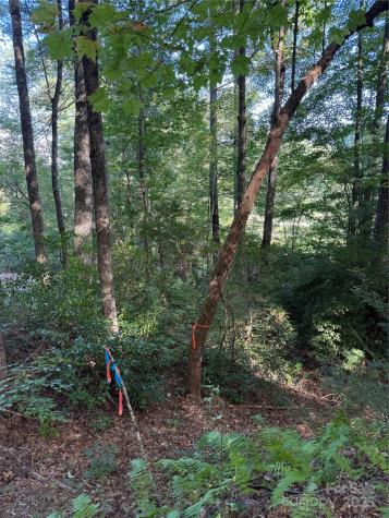 D51-52 North Club Boulevard Lake Toxaway NC 28747
