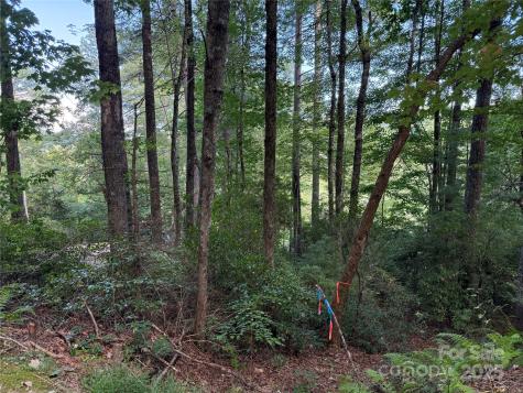 D51-52 North Club Boulevard Lake Toxaway NC 28747