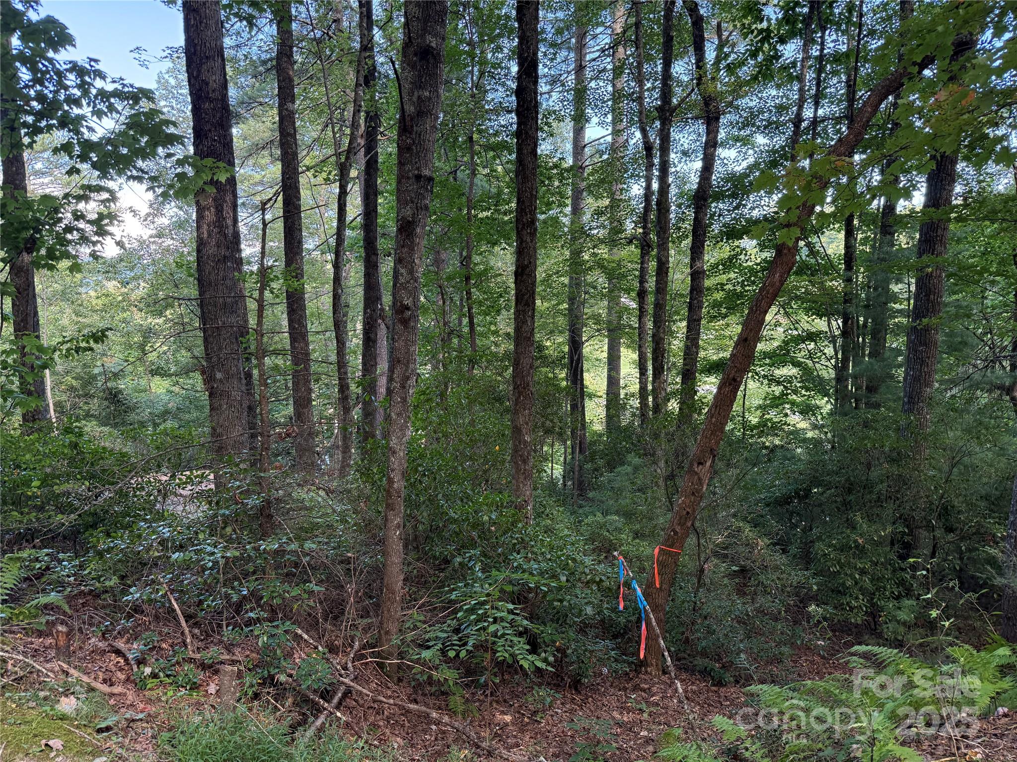 D51-52 North Club Boulevard Lake Toxaway NC 28747