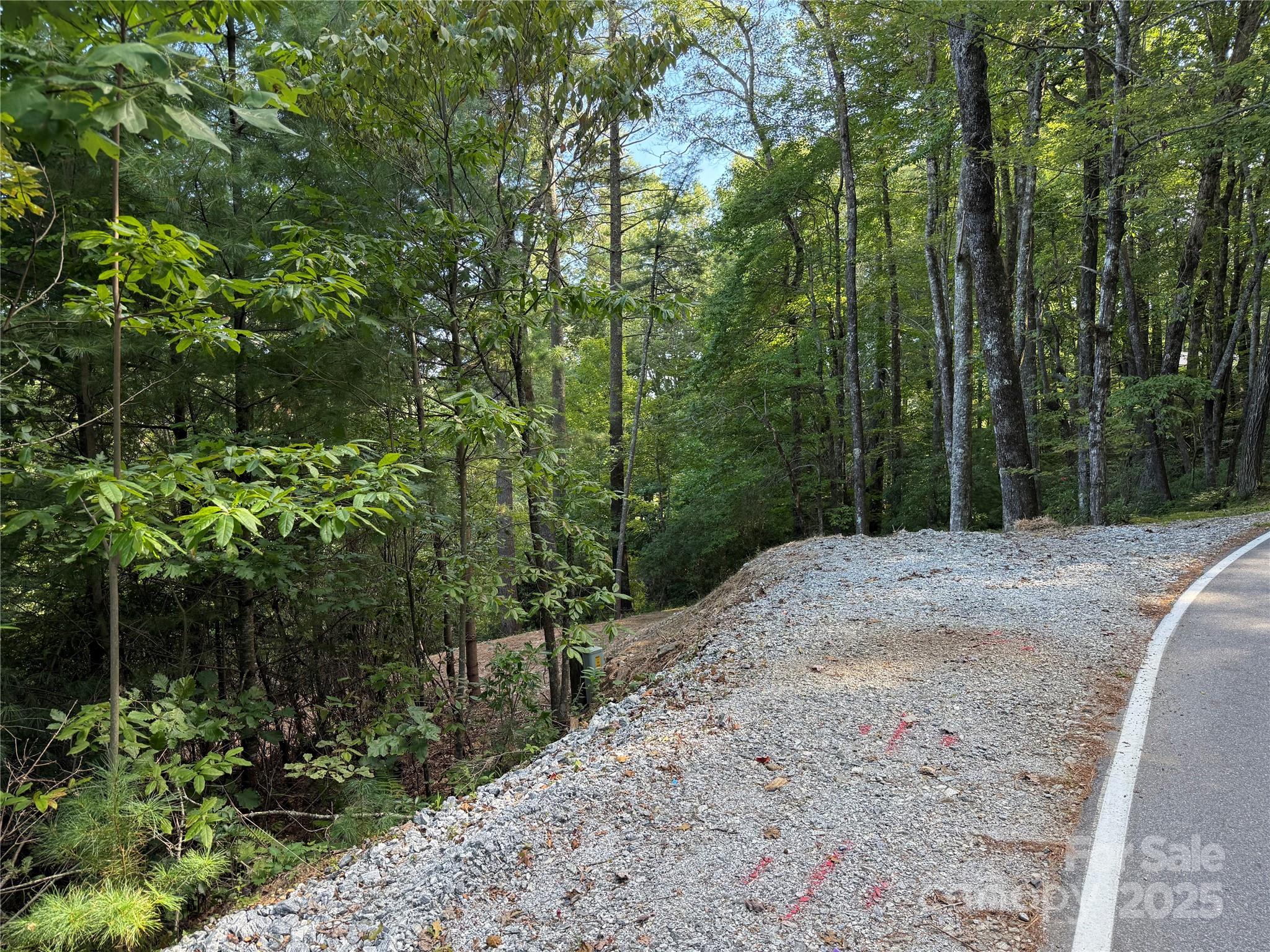 D51-52 North Club Boulevard Lake Toxaway NC 28747