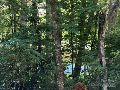 D51-52 North Club Boulevard Lake Toxaway NC 28747