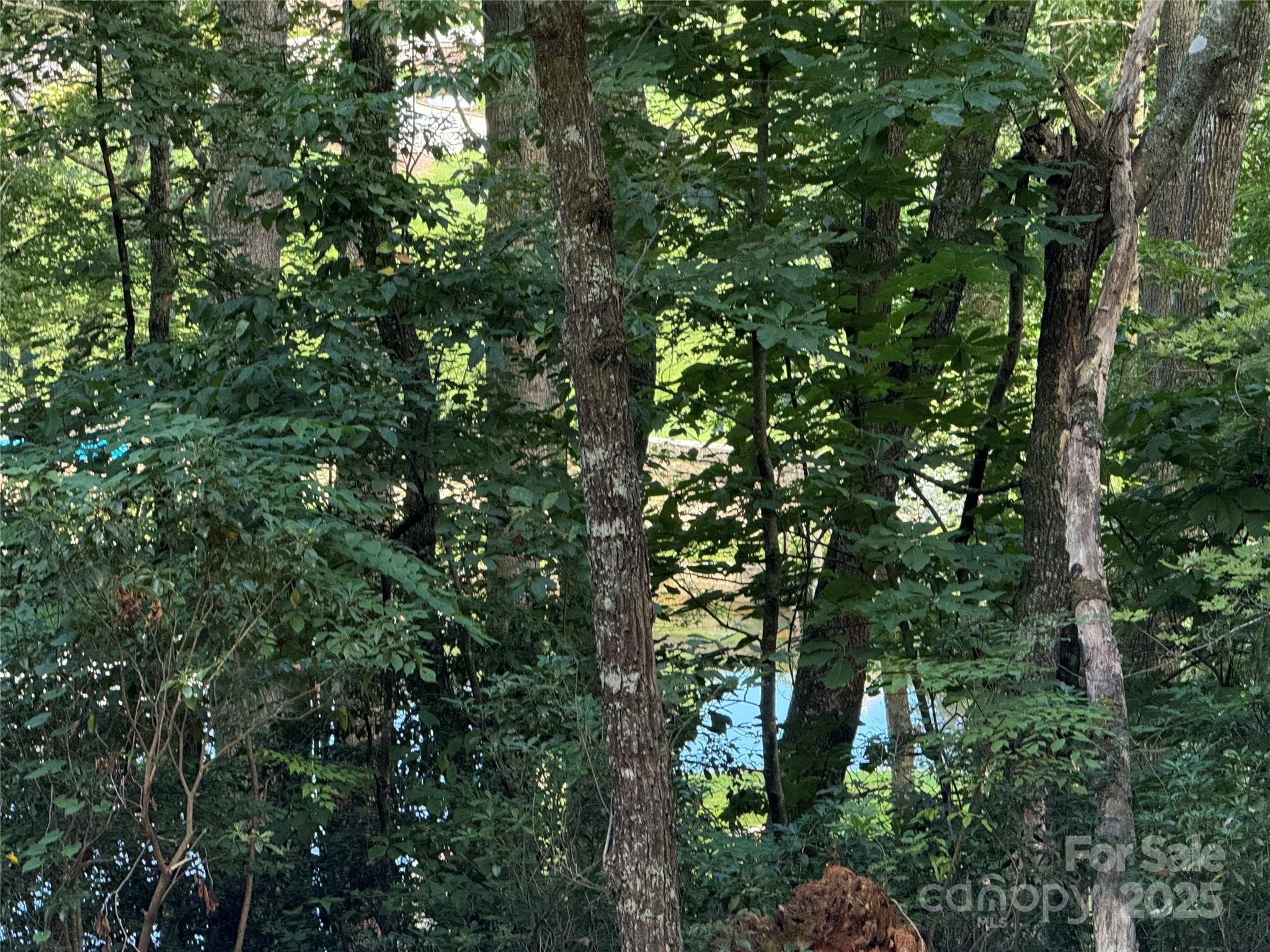 D51-52 North Club Boulevard Lake Toxaway NC 28747