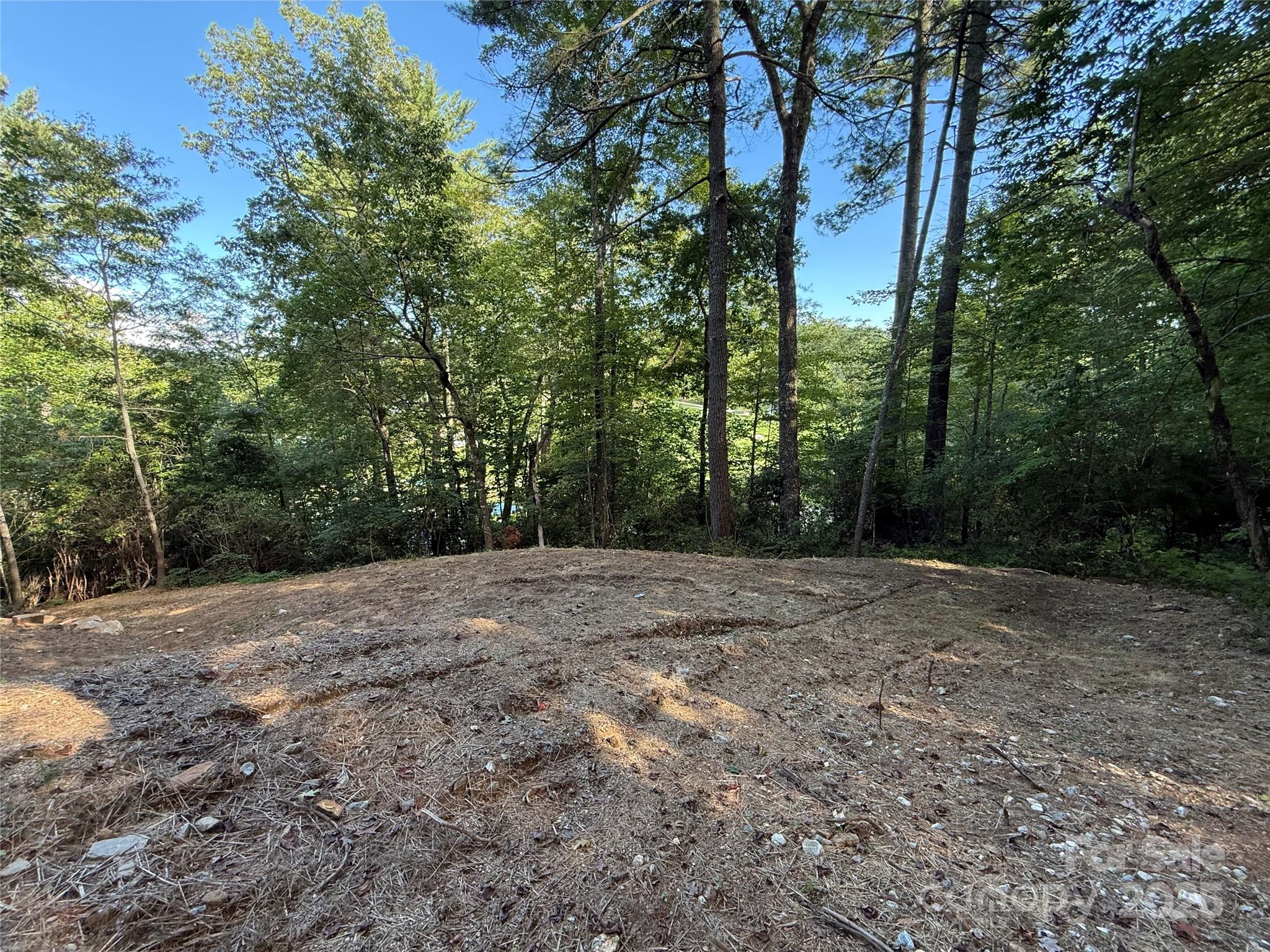 D51-52 North Club Boulevard Lake Toxaway NC 28747
