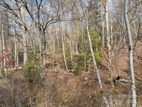 Off Us 70 Highway W Highway Old Fort NC 28762