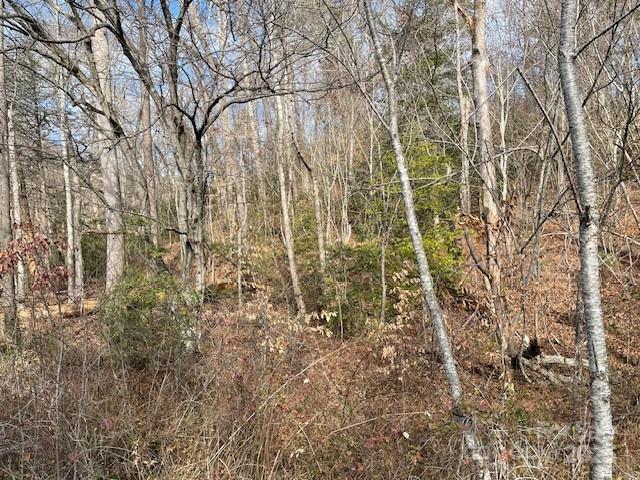 Off Us 70 Highway W Highway Old Fort NC 28762