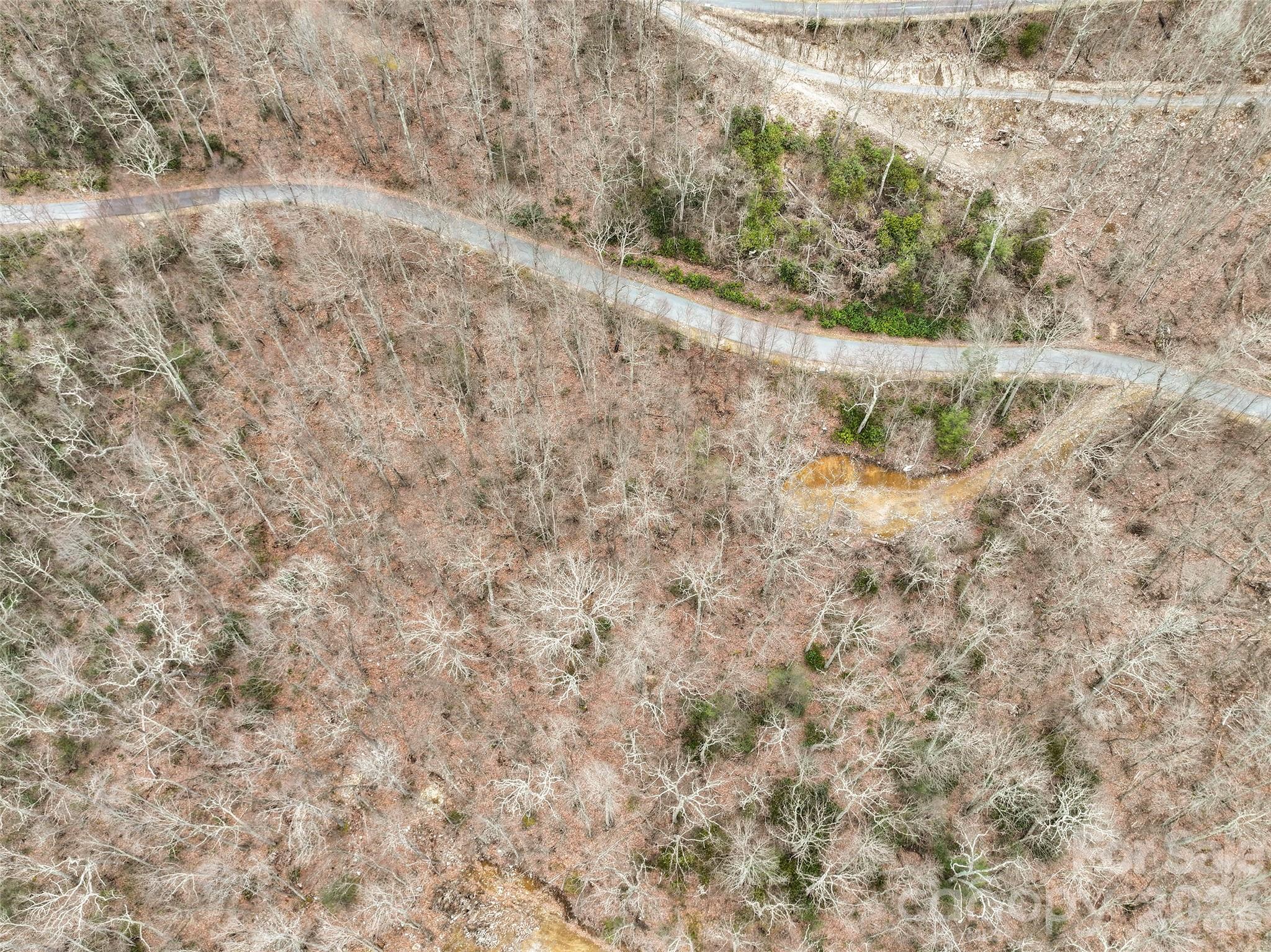 1480 Odalu Trail Maggie Valley NC 28751