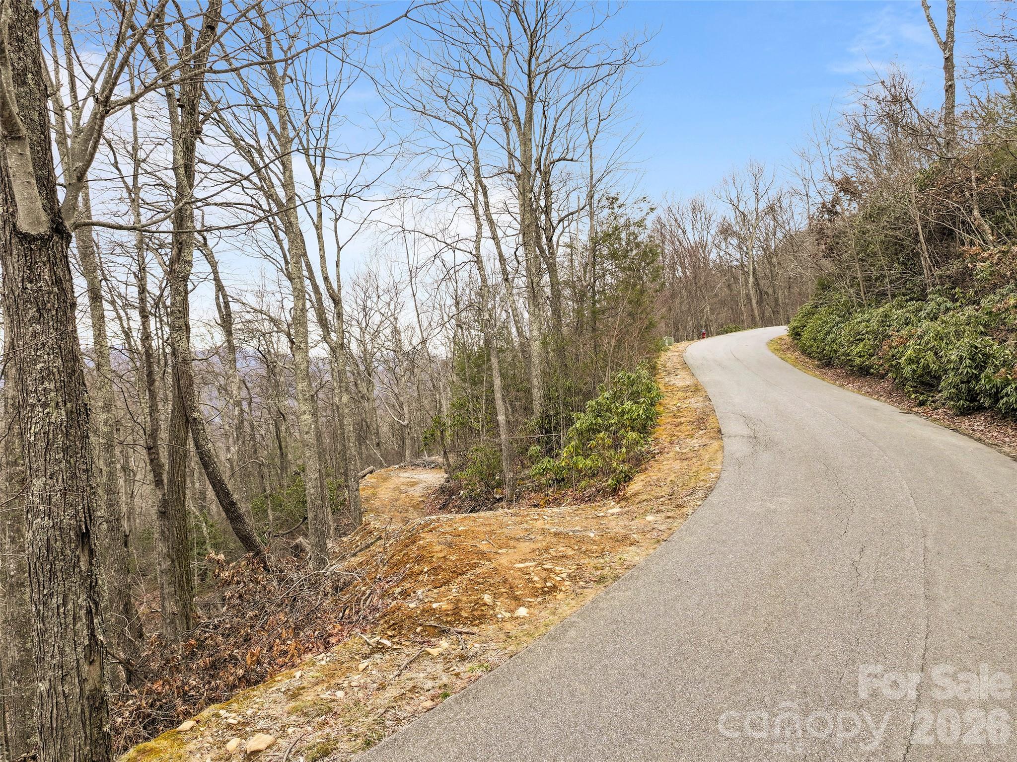 1480 Odalu Trail Maggie Valley NC 28751