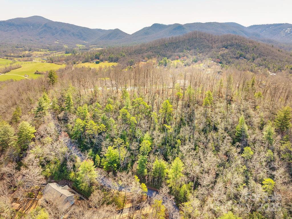 99999 Pheasant Ridge Road Fairview NC 28730