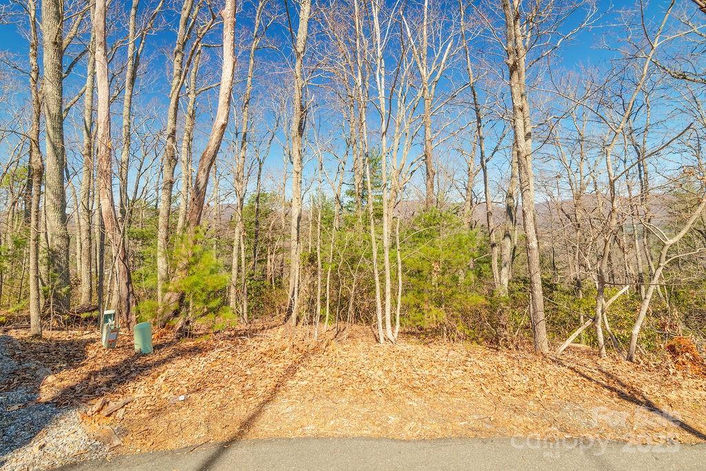 99999 Pheasant Ridge Road Fairview NC 28730
