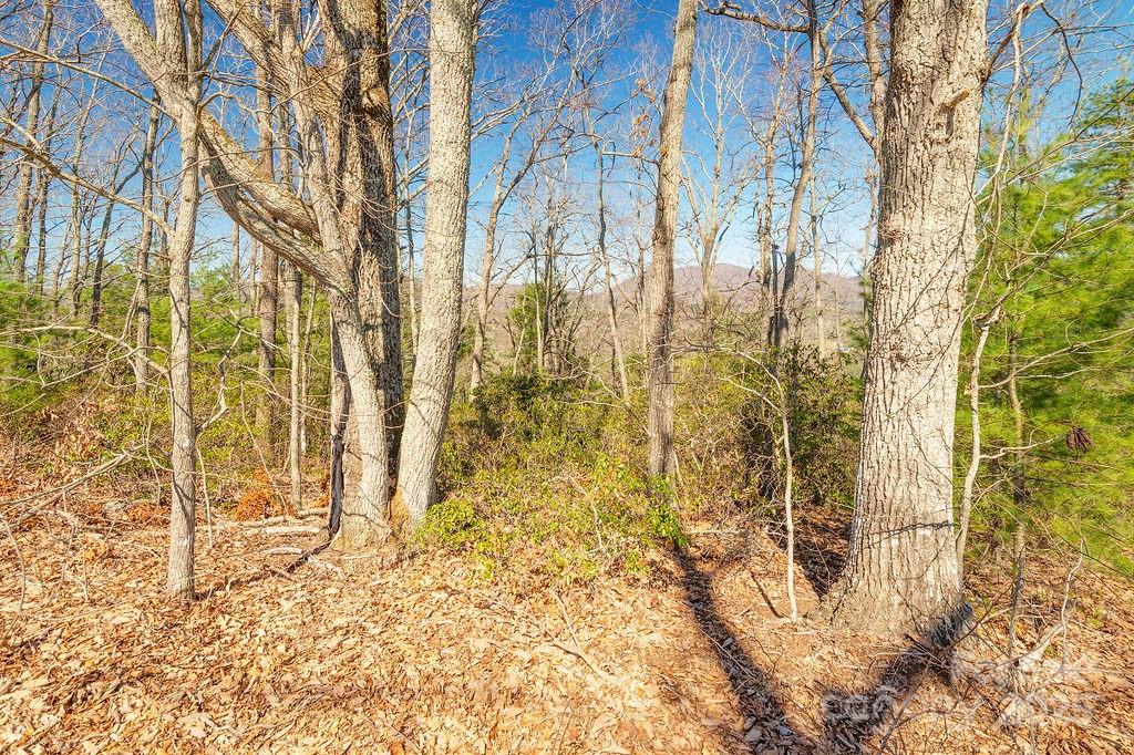99999 Pheasant Ridge Road Fairview NC 28730