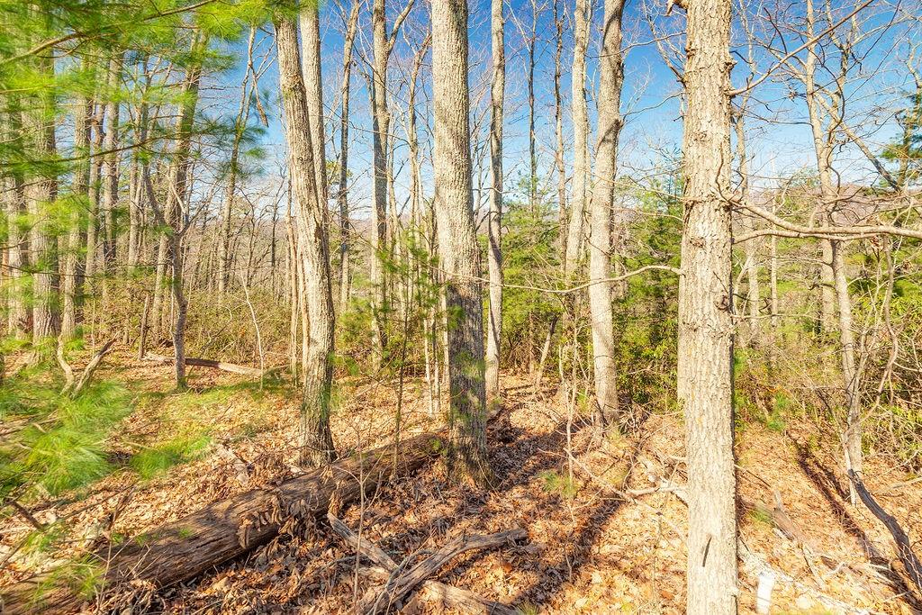 99999 Pheasant Ridge Road Fairview NC 28730
