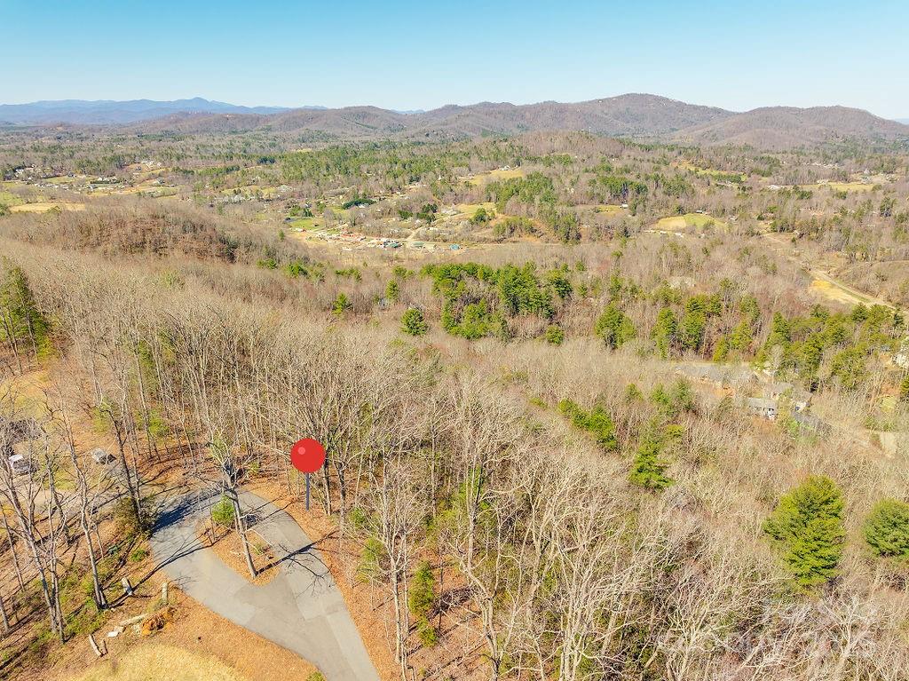 99999 Pheasant Ridge Road Fairview NC 28730