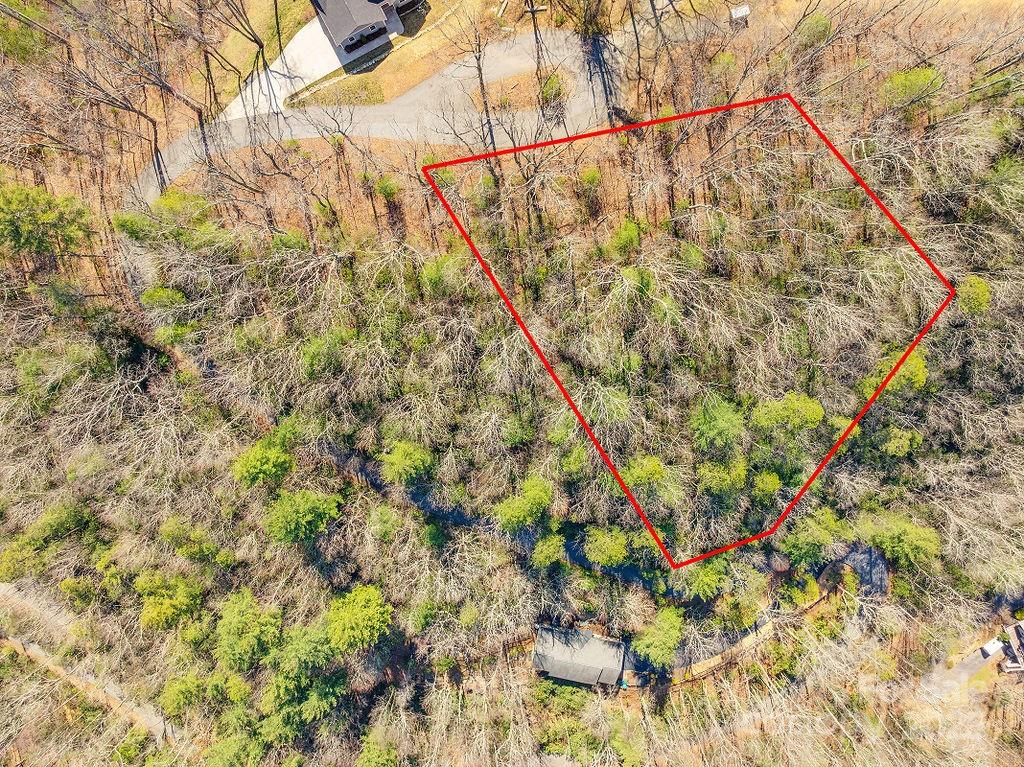99999 Pheasant Ridge Road Fairview NC 28730