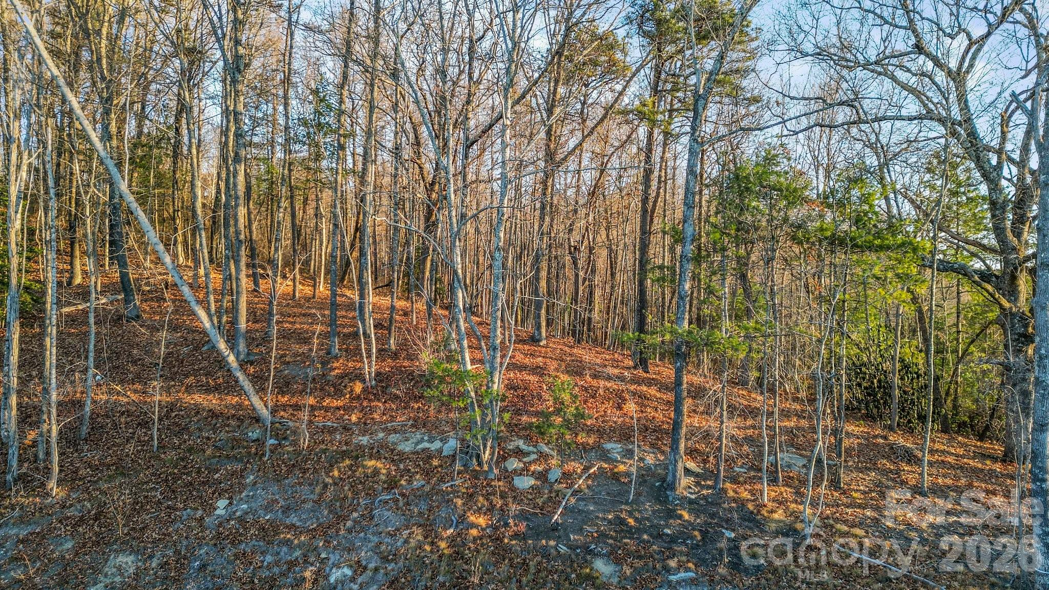 99 Spring Song Lane Fletcher NC 28732