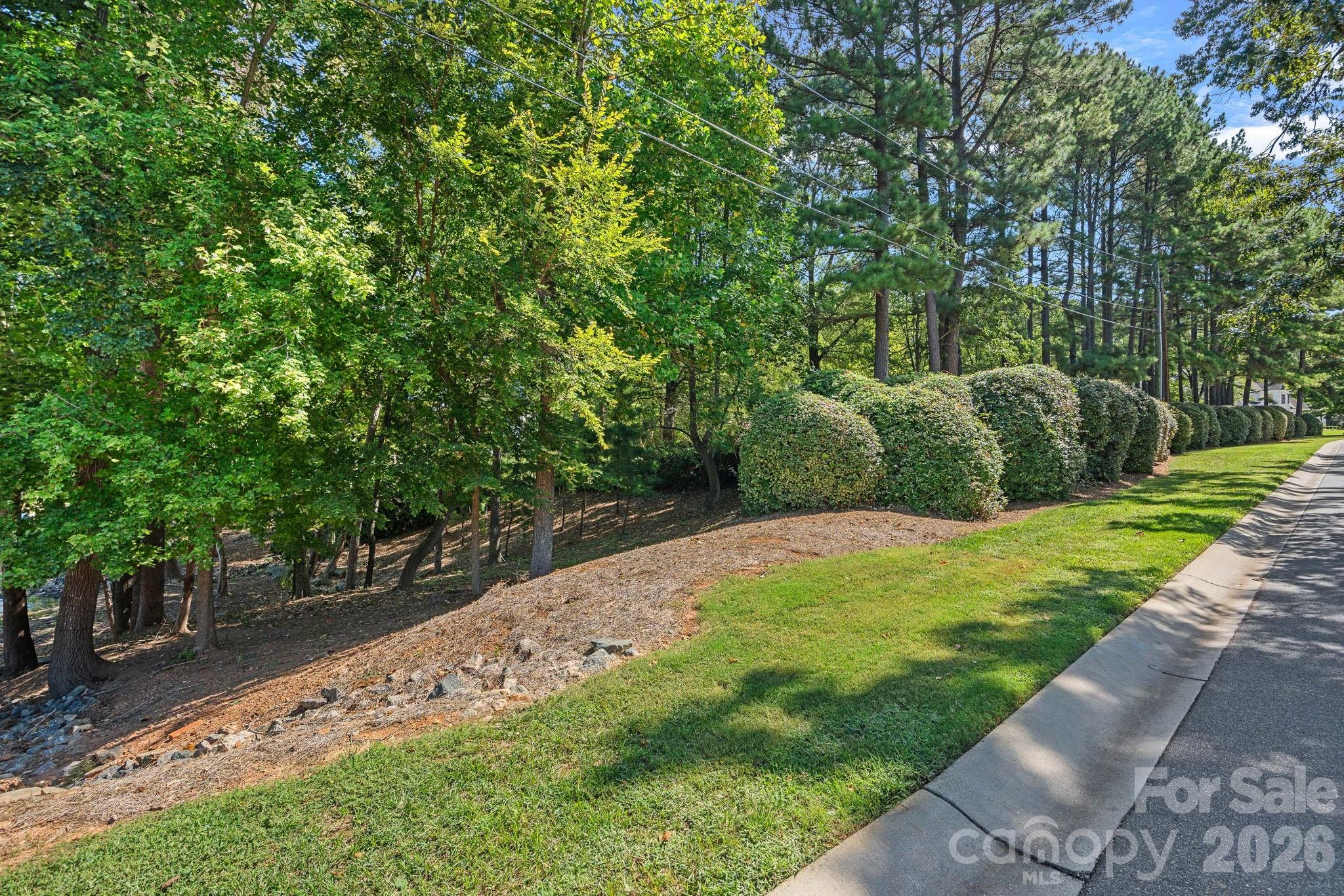 19002 Lakehouse Pointe Drive Cornelius NC 28031