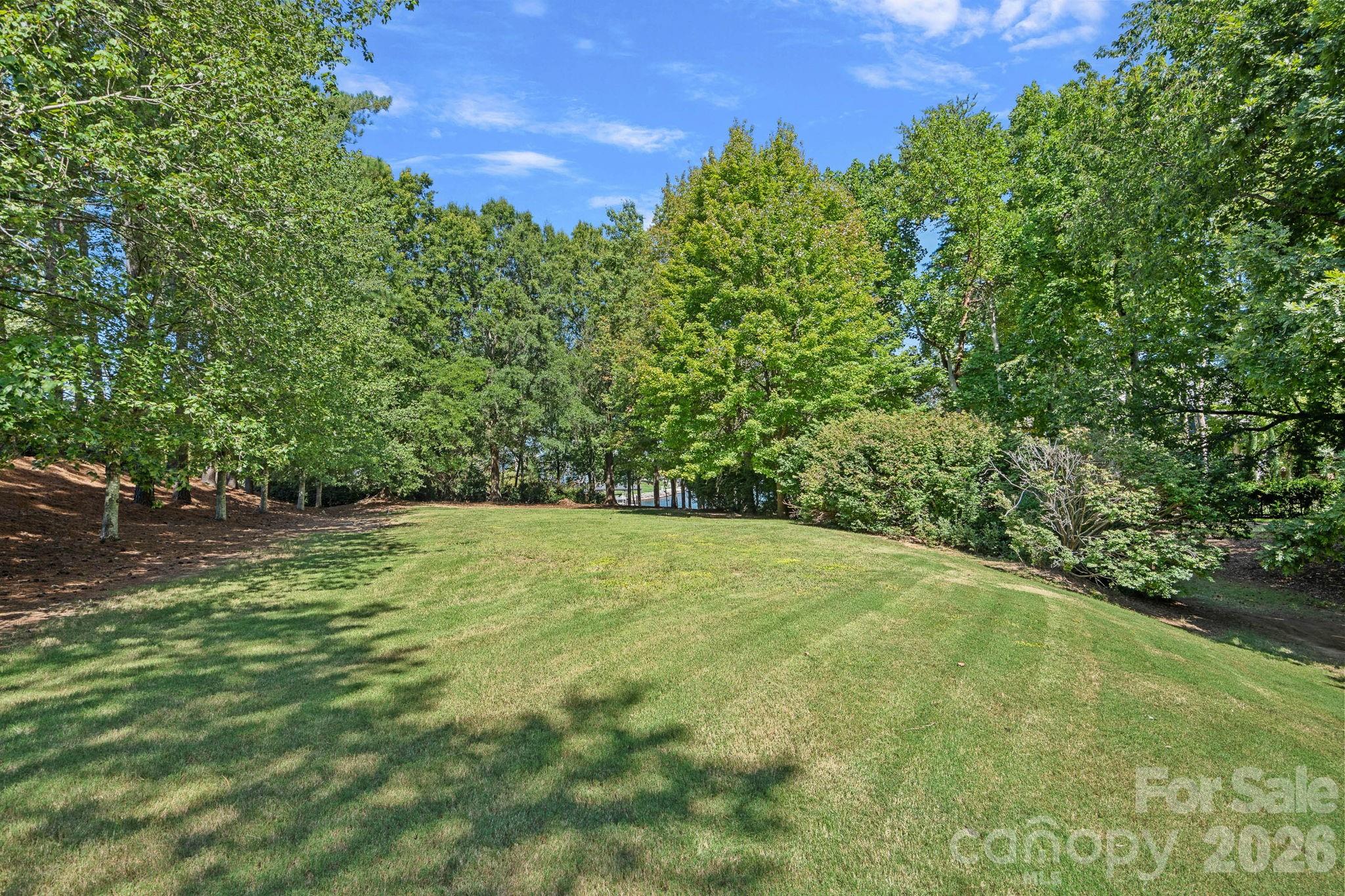 19002 Lakehouse Pointe Drive Cornelius NC 28031