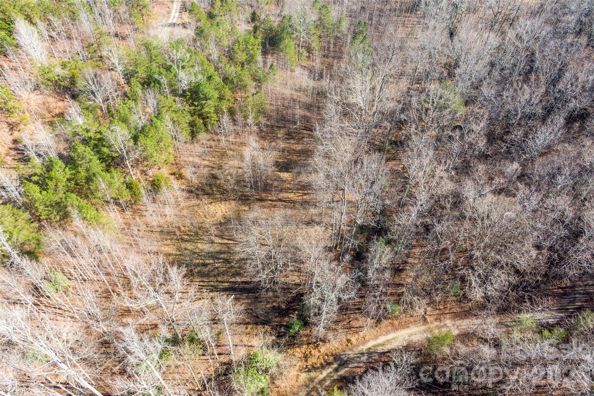 0 Riding Ring Drive Ellenboro NC 28040