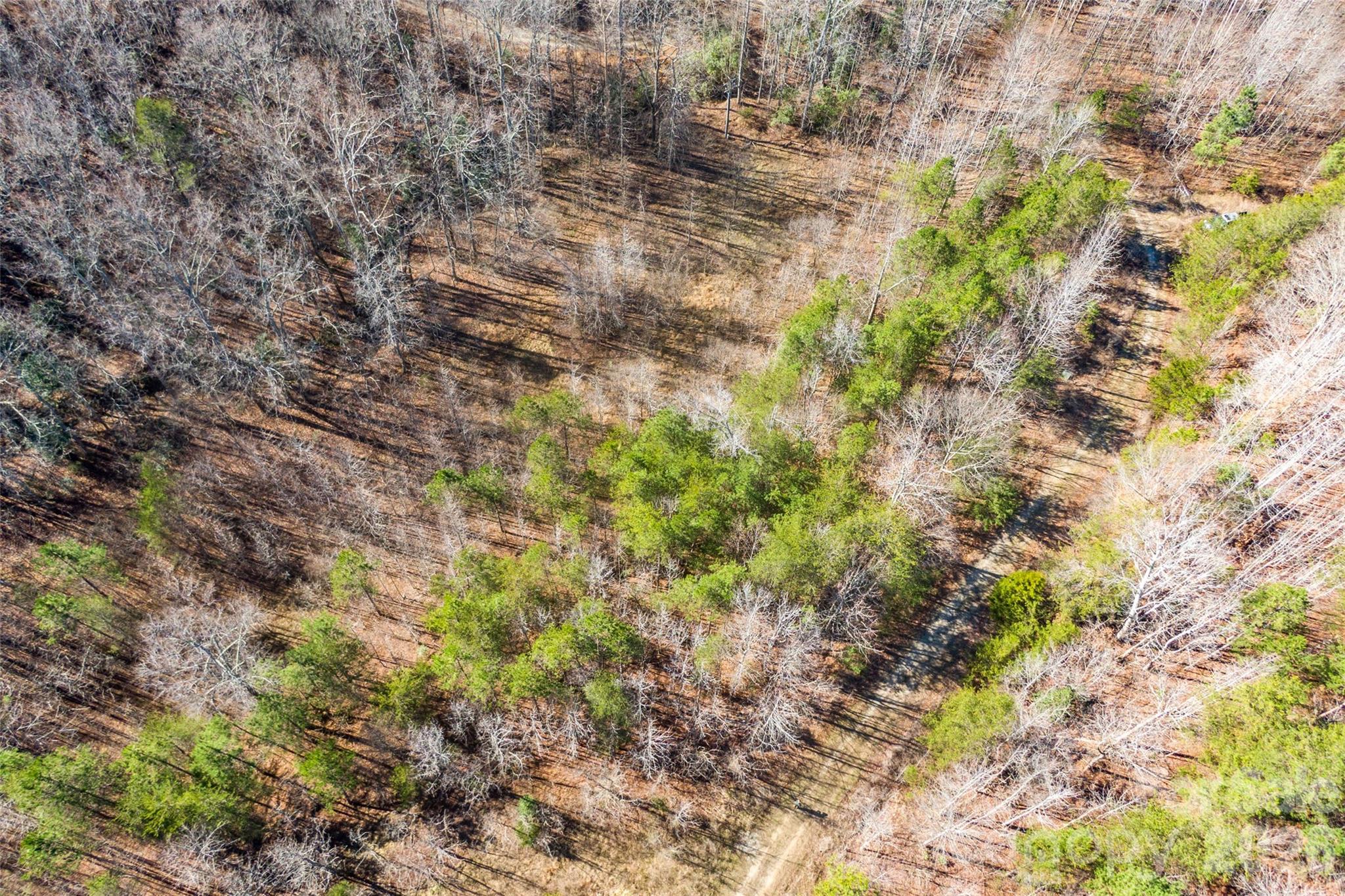 0 Riding Ring Drive Ellenboro NC 28040