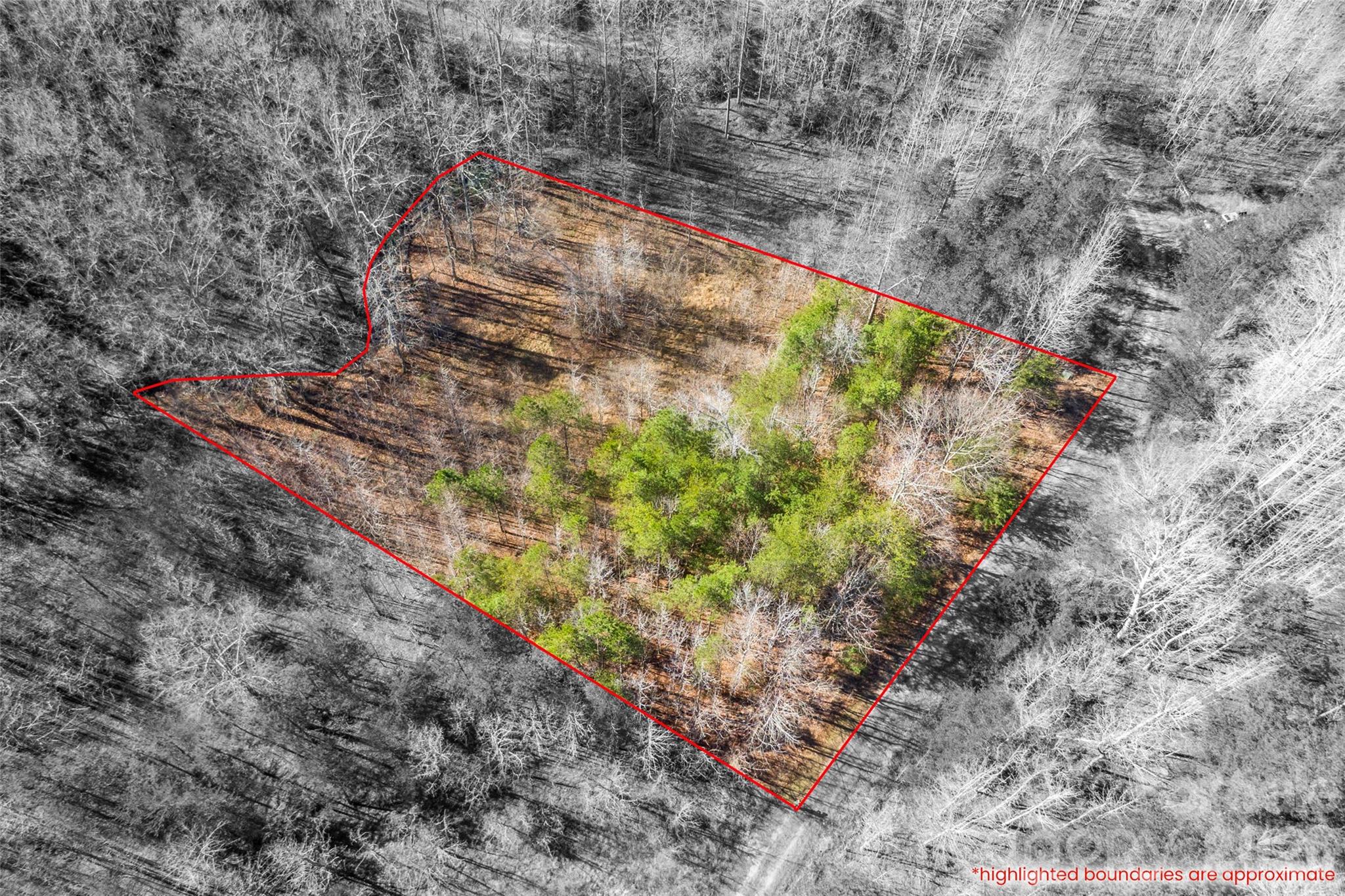 0 Riding Ring Drive Ellenboro NC 28040