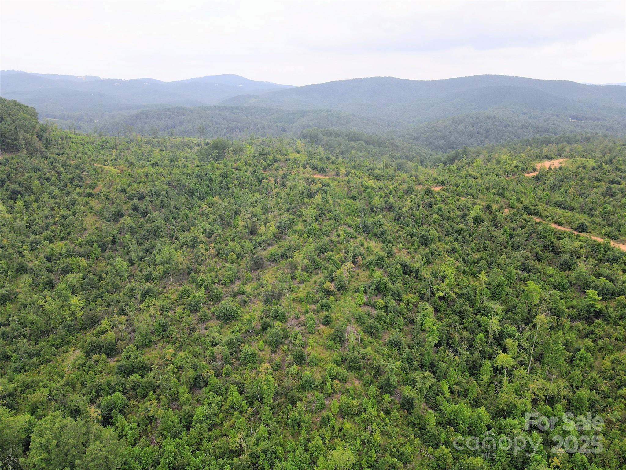V/l Youngs Creek Road Morganton NC 28655
