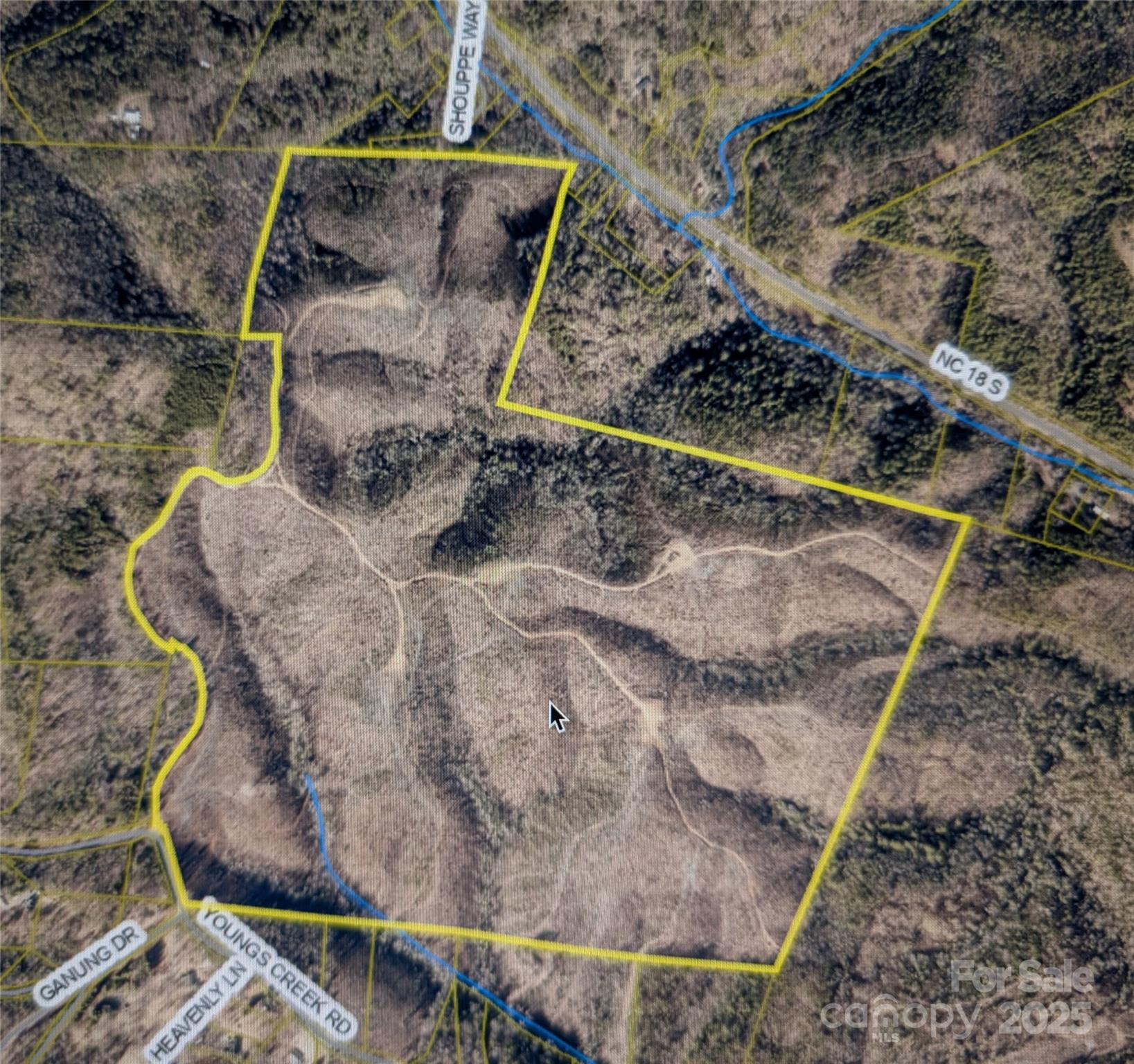 V/l Youngs Creek Road Morganton NC 28655