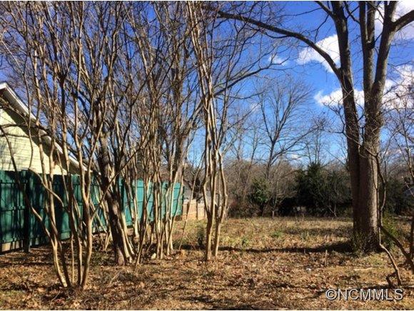 41 Mildred Avenue Asheville NC 28806