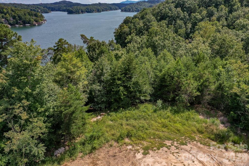 000 Holmstead Drive Lake Lure NC 28746