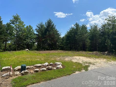 000 Holmstead Drive Lake Lure NC 28746