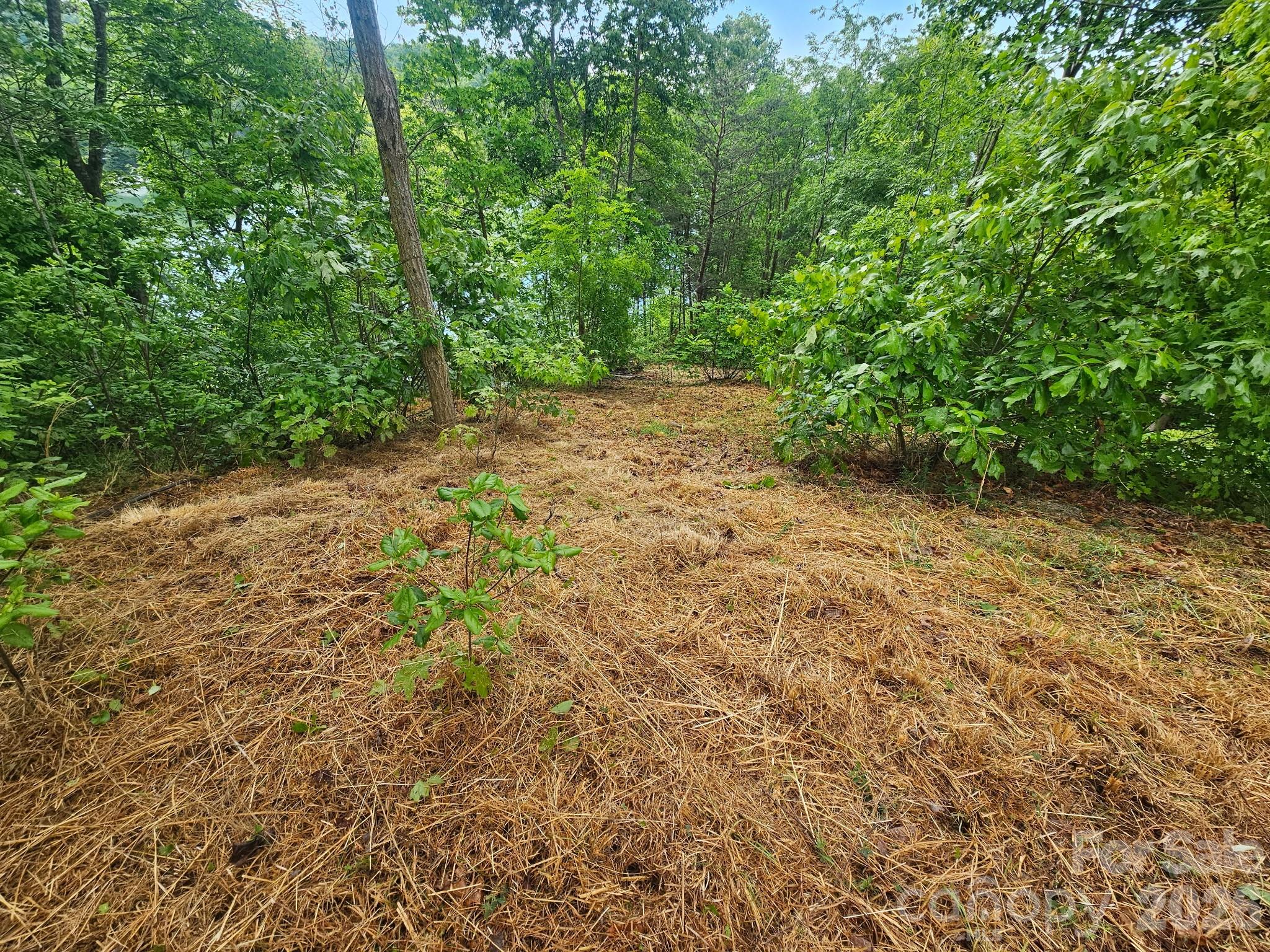 000 Holmstead Drive Lake Lure NC 28746