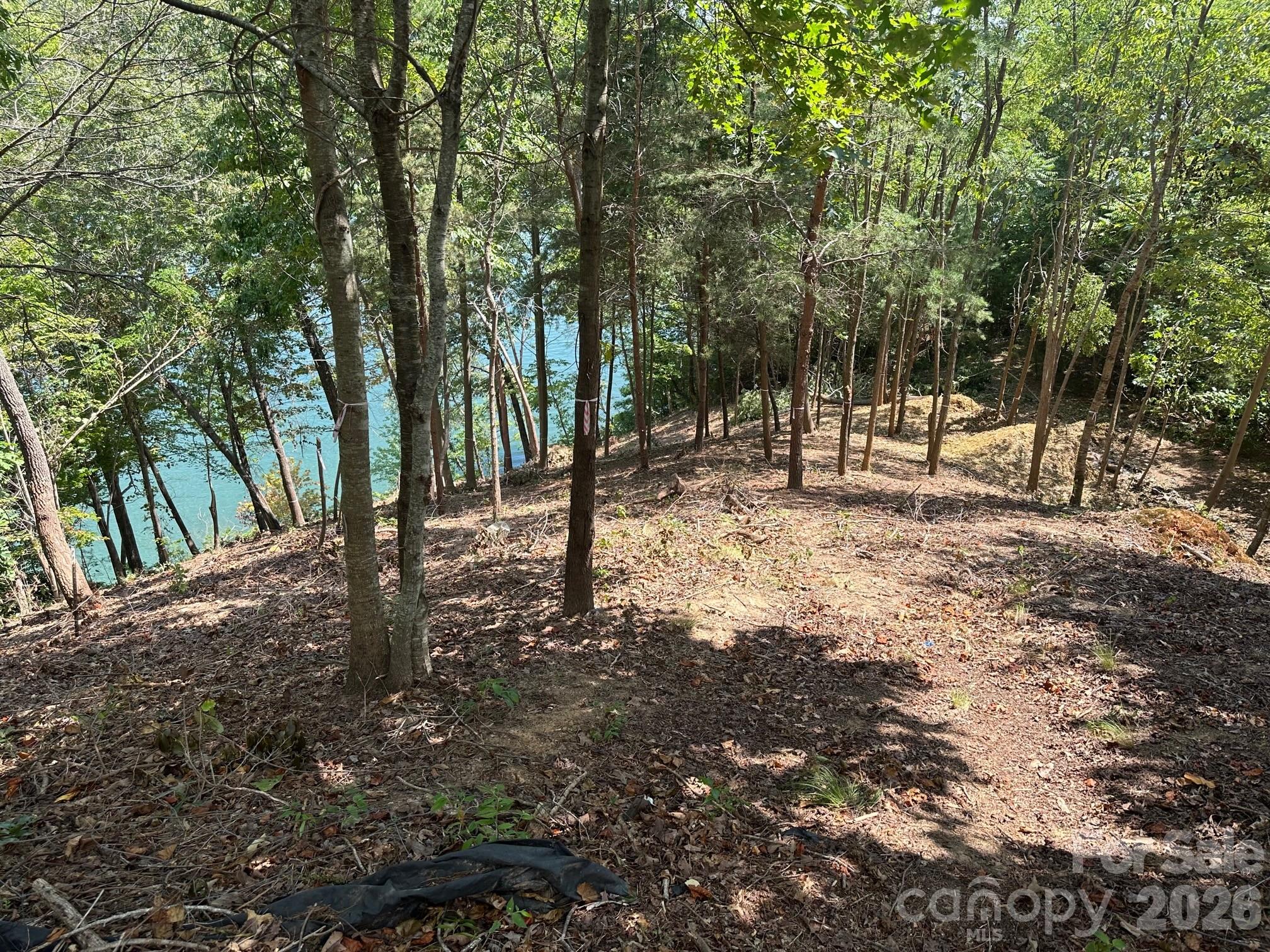 000 Holmstead Drive Lake Lure NC 28746