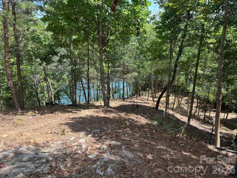 000 Holmstead Drive Lake Lure NC 28746