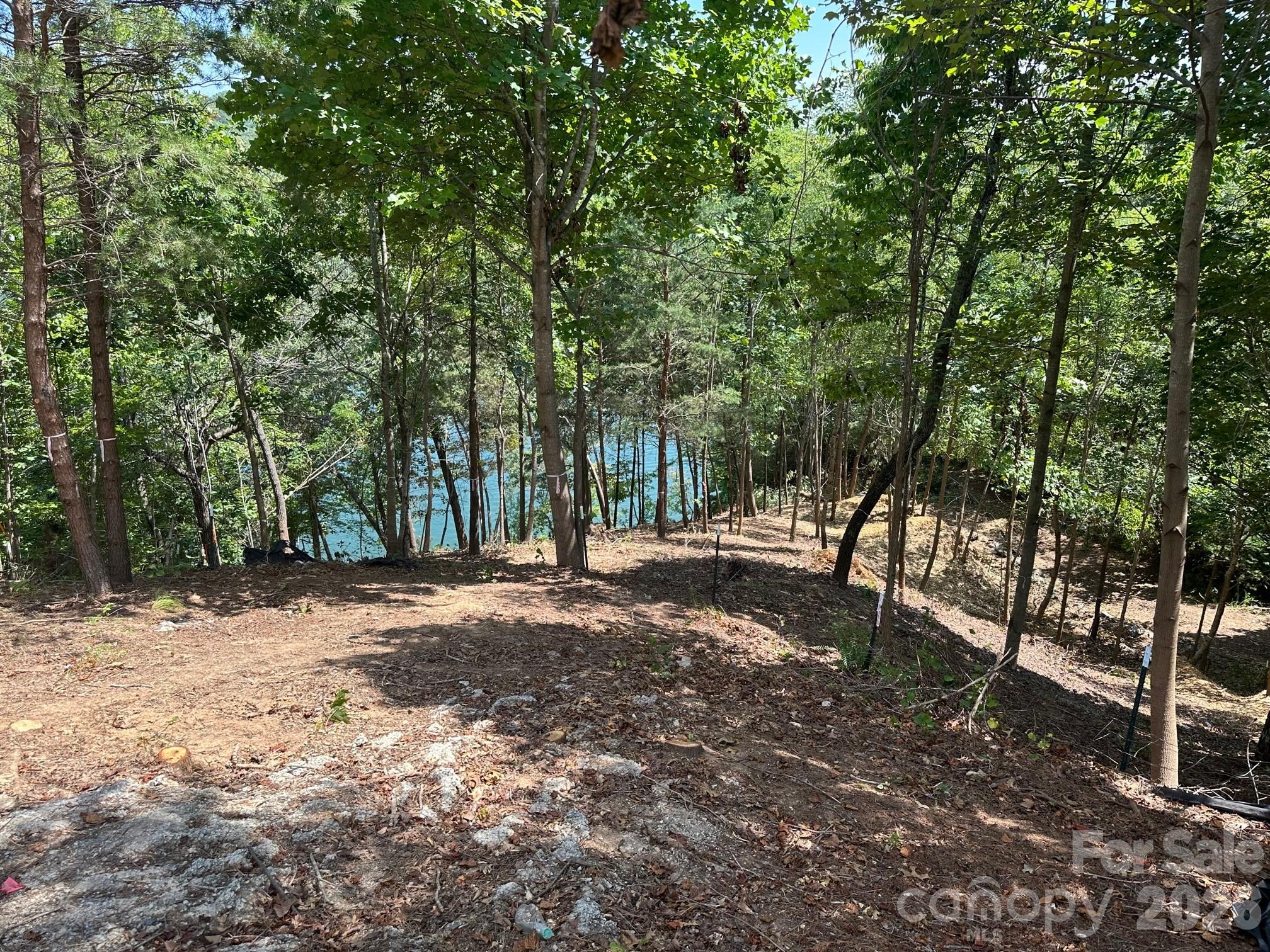 000 Holmstead Drive Lake Lure NC 28746