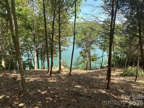 000 Holmstead Drive Lake Lure NC 28746